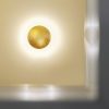 Lederam W1 - Image 2