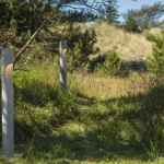 Flindt Bollard