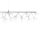 Heracleum III Endless