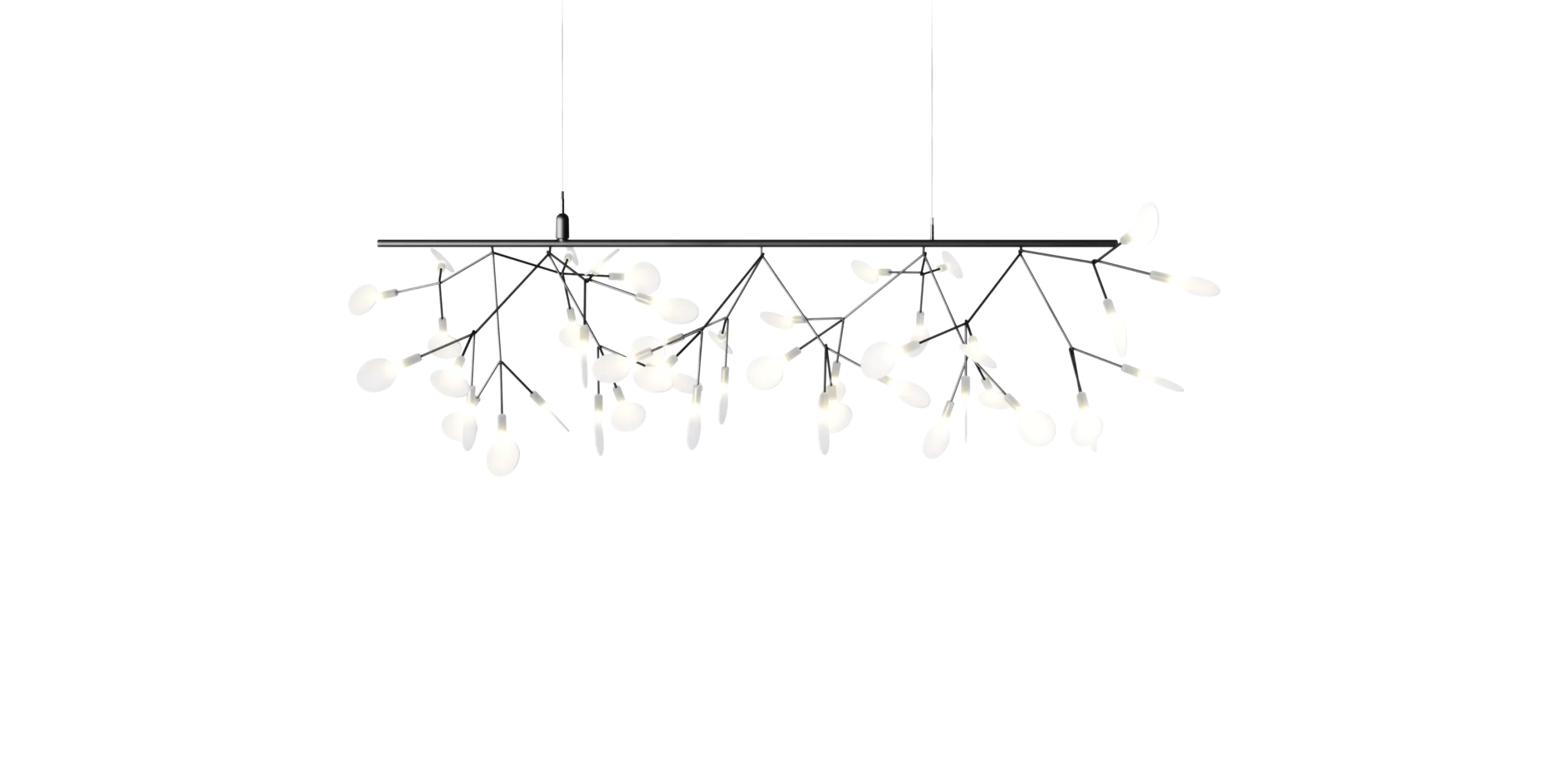 Heracleum III Endless