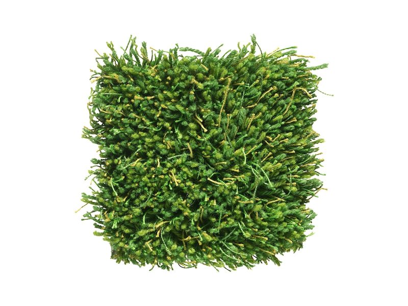 Moss