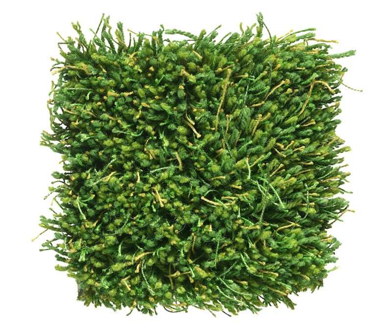 Moss