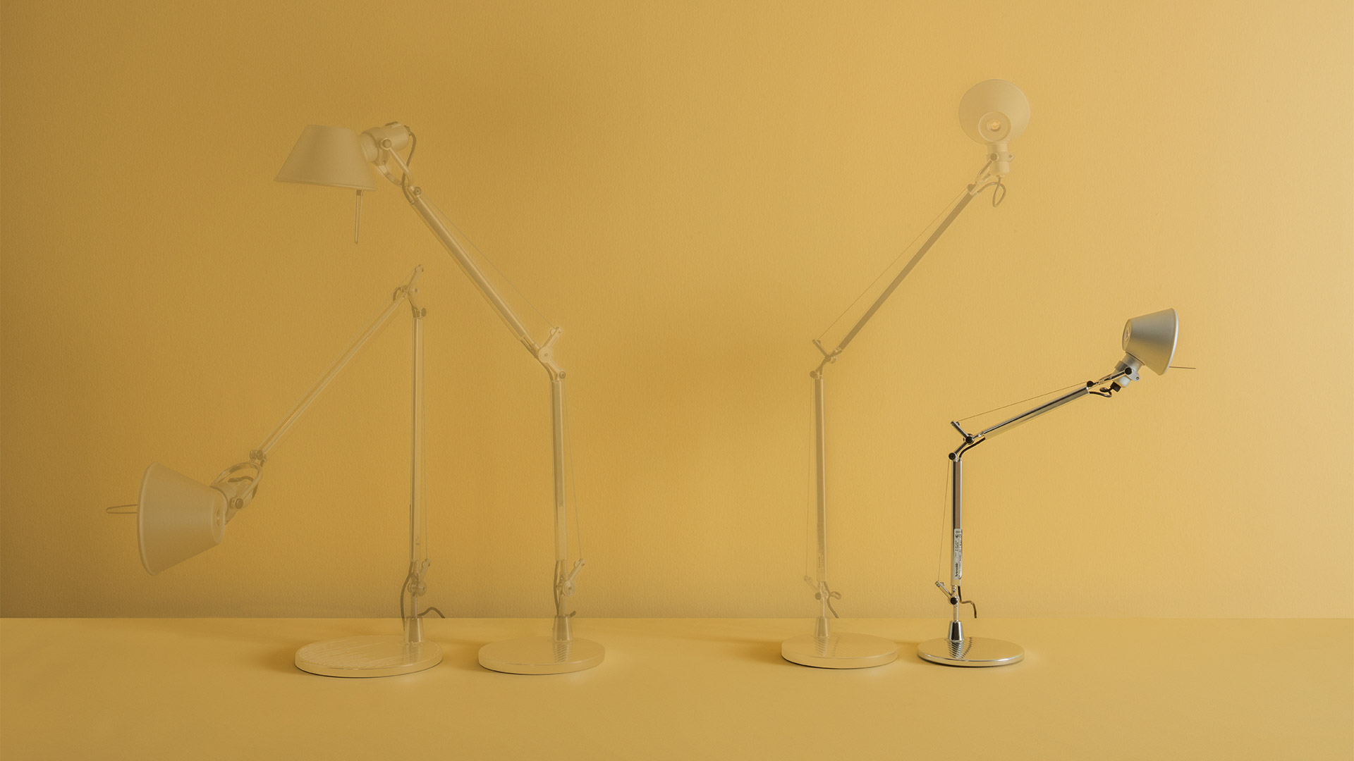 Tolomeo Micro