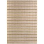 Woodnotes paper yarn area rug in natural white